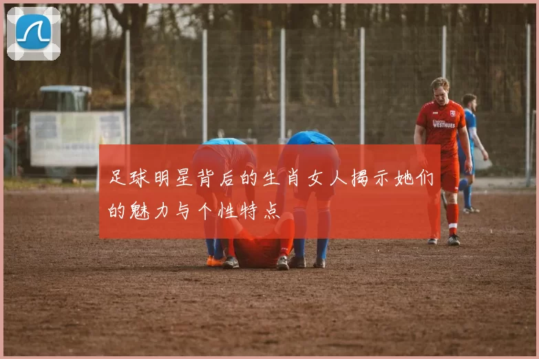 足球明星背后的生肖女人揭示她们的魅力与个性特点